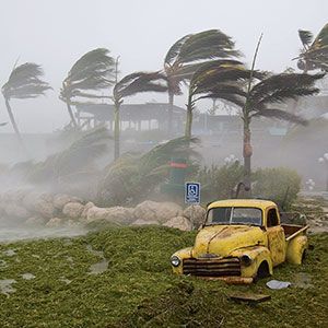 Extreme winds and seaweed-filled storm surge during Hurricane Dennis.