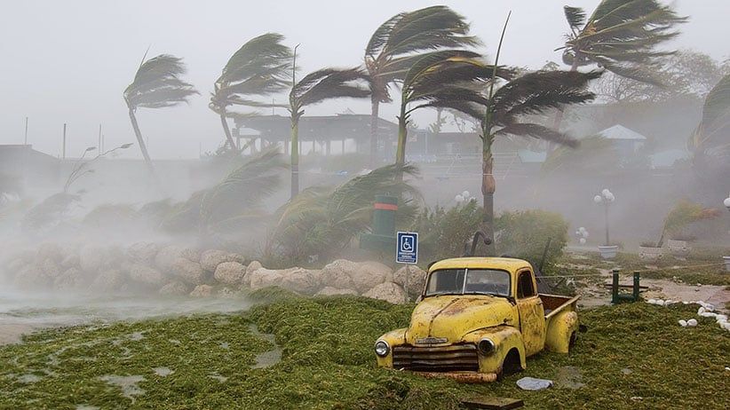 Extreme winds and seaweed-filled storm surge during Hurricane Dennis.
