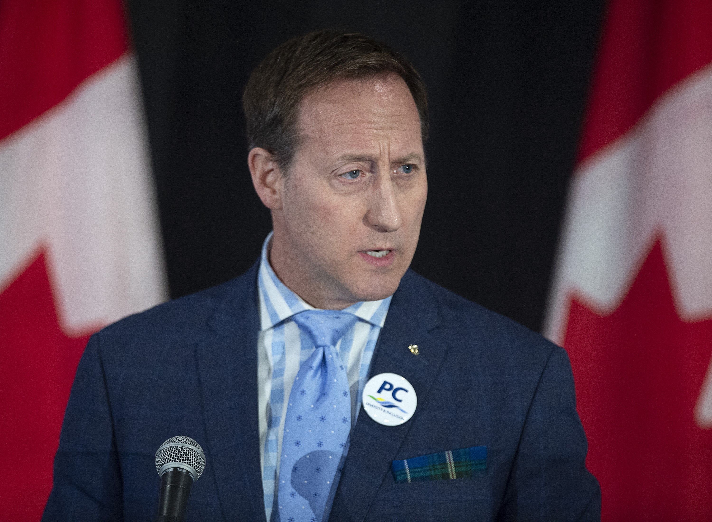 MacKay addresses the crowd at a federal Conservative leadership forum during the annual general meeting of the Nova Scotia Progressive Conservative party in Halifax on Feb. 8, 2020 (CP/Andrew Vaughan)