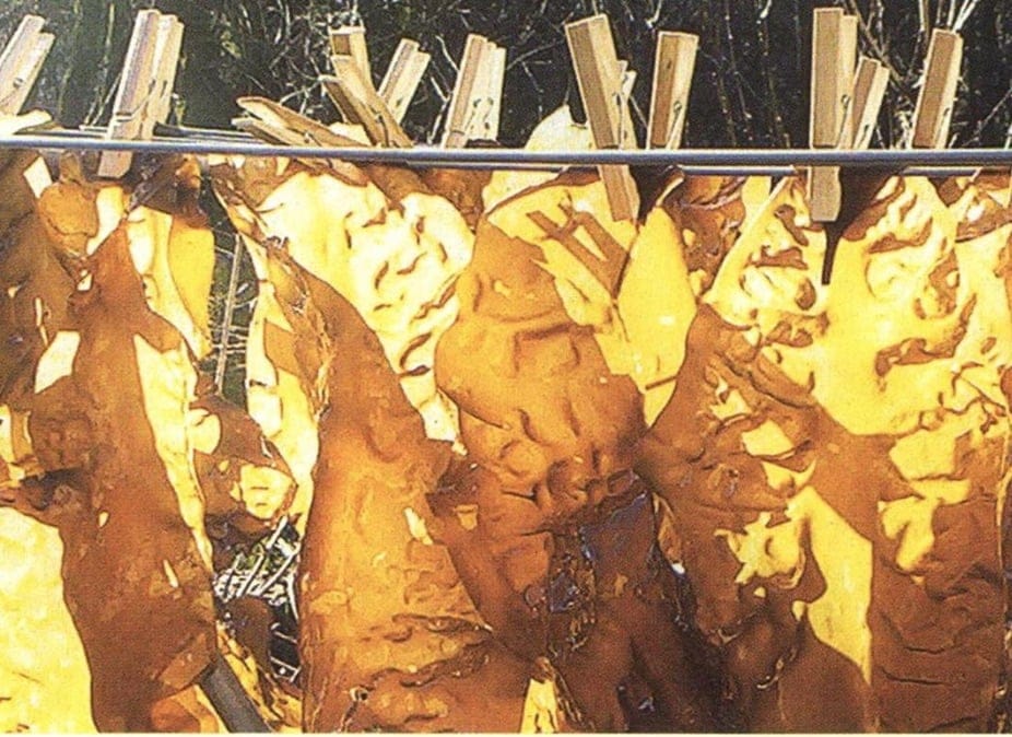 Seaweed benefits