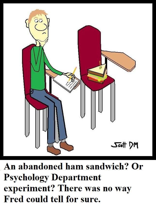 sandwich