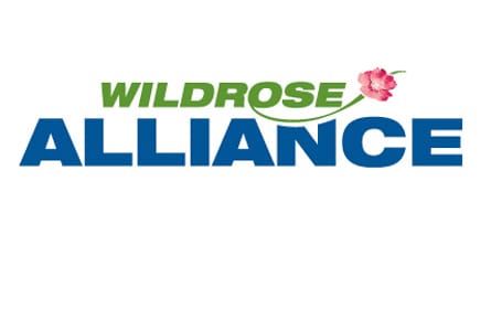 090915_wildrose