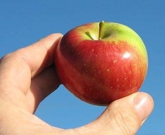 apple