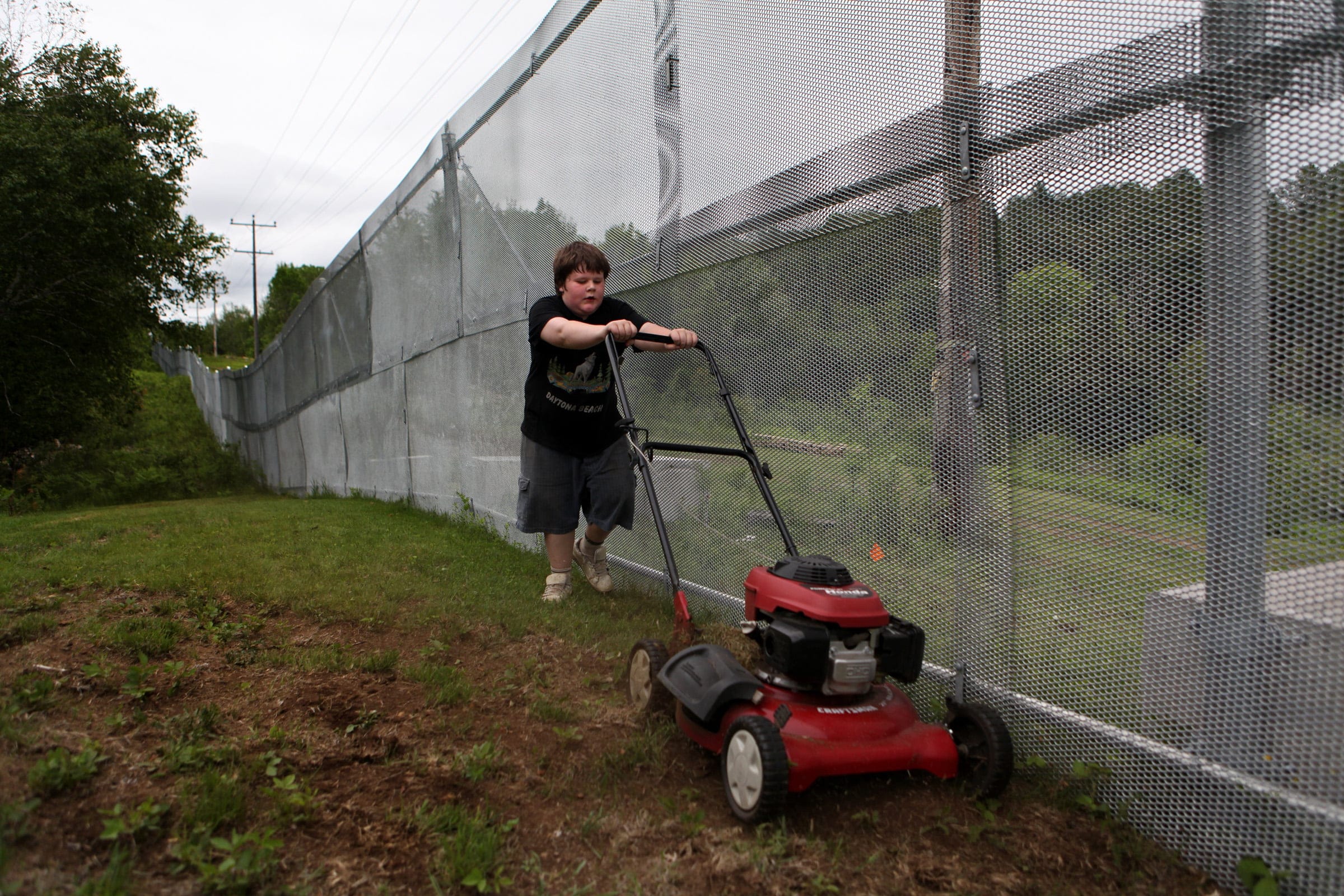 Mowing the lawn...next to the security fence in the yard