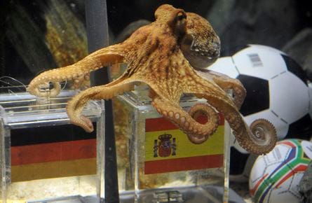 100706_octopus