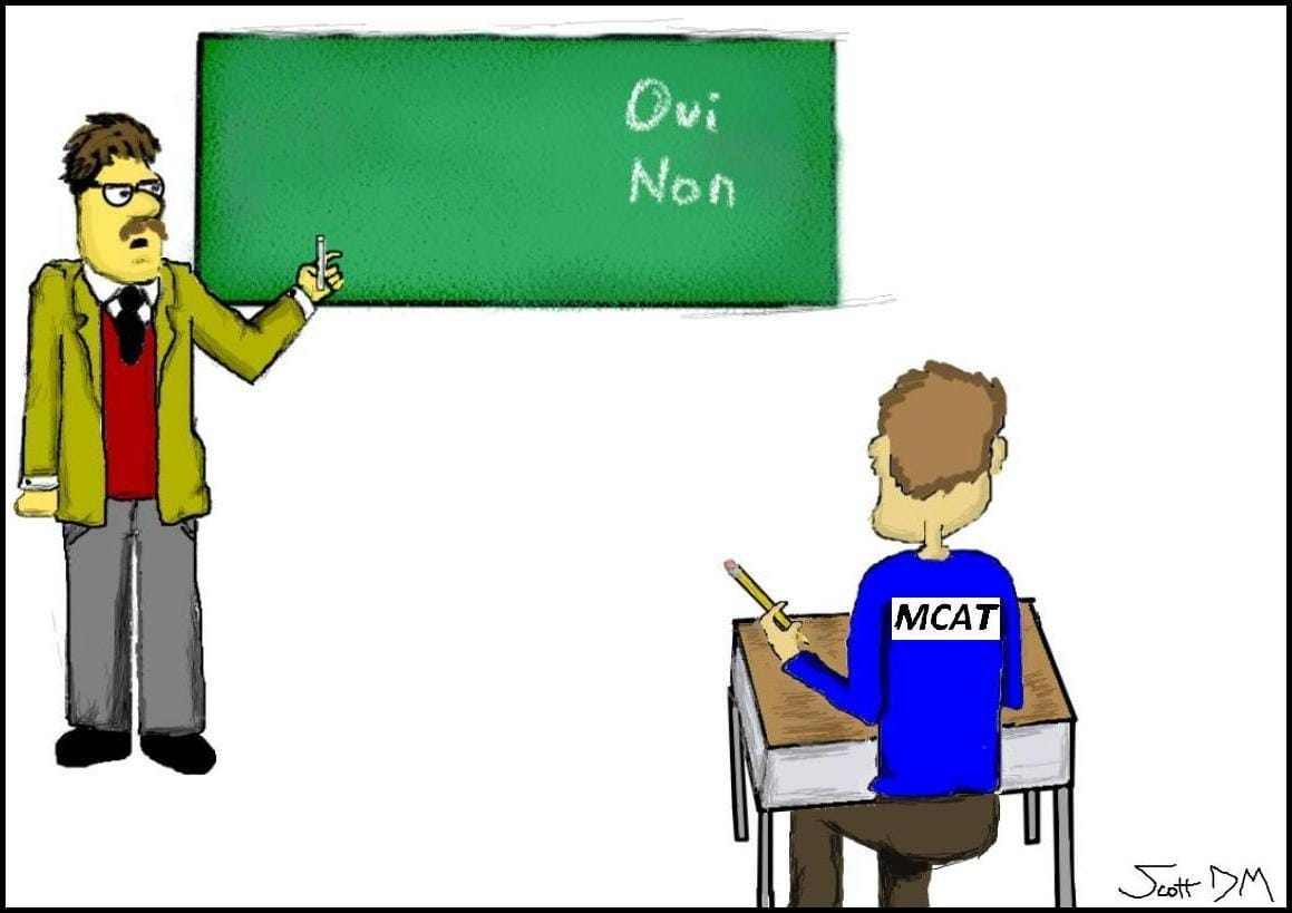 Summer school for the MCAT?