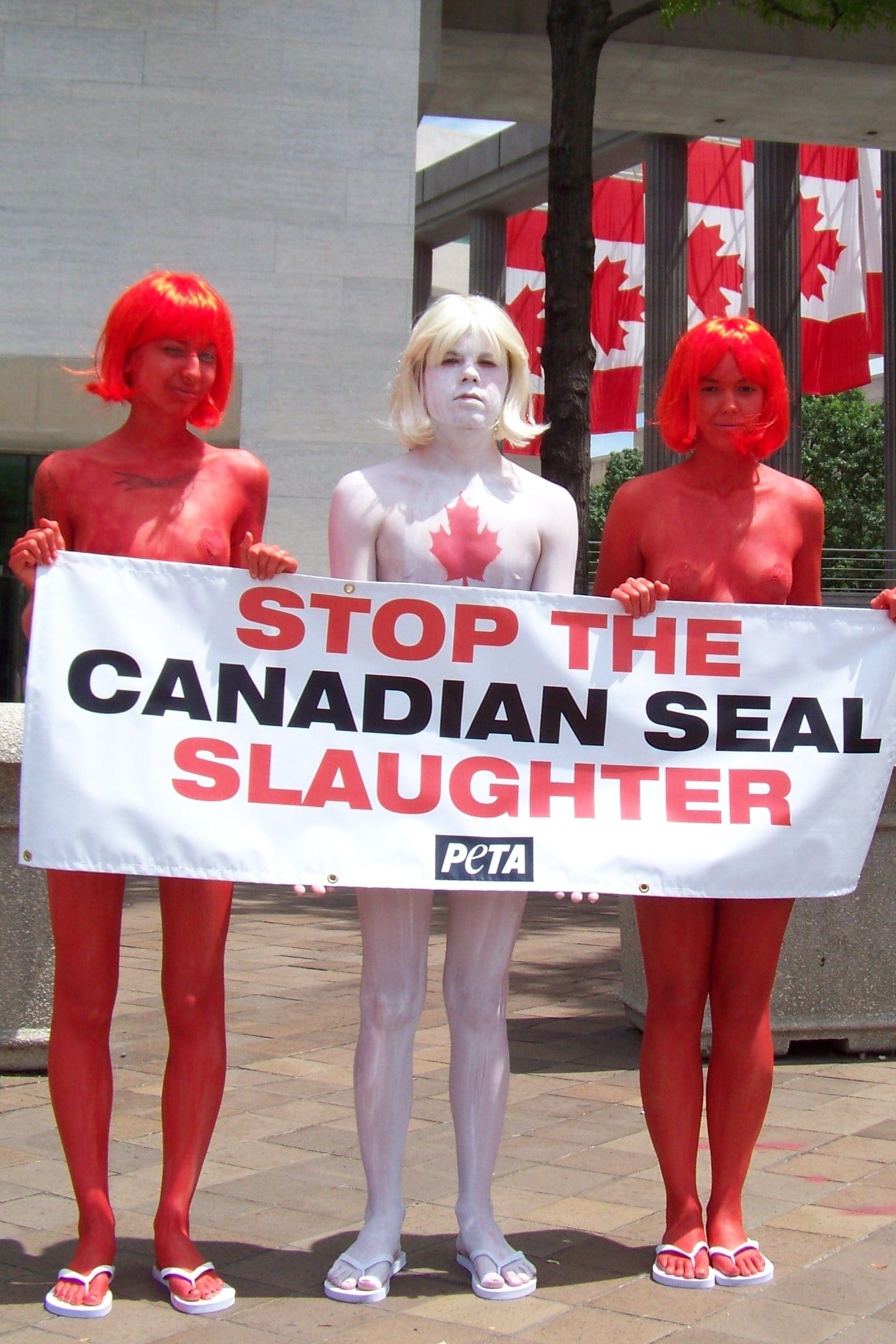 peta people