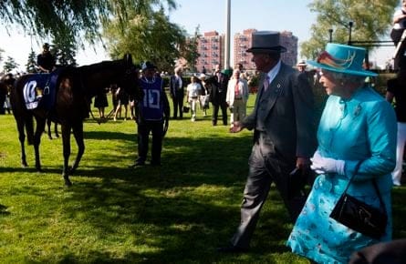 Woodbinerace