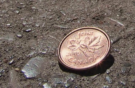 The Penny