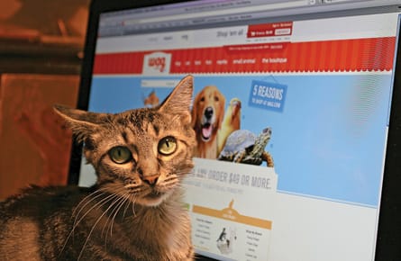 The web's new best friend?