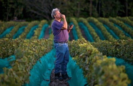 What your wine label won’t tell you