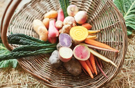 What’s the brix level of your carrot?
