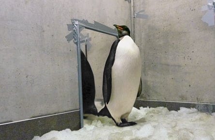 The tail end of the news