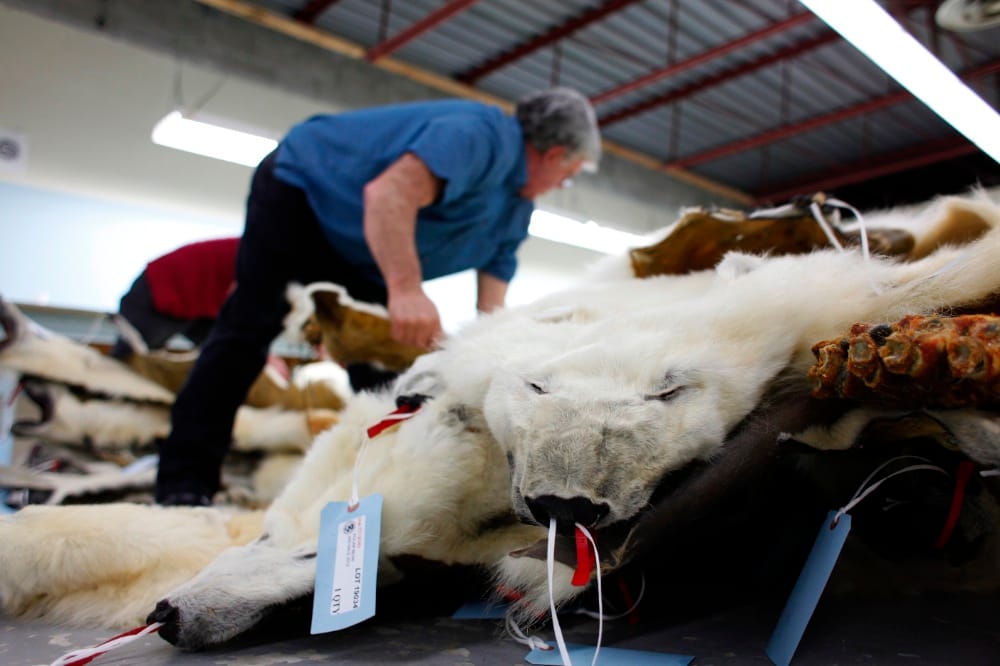 Fur Harvesters Auction Inc.
