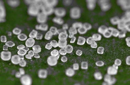 sodium-feature
