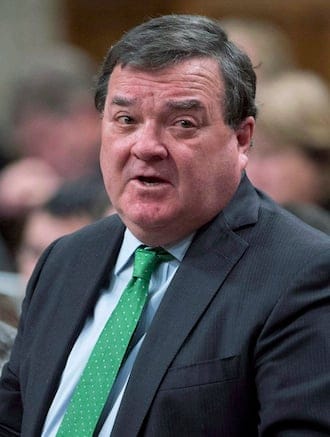 Finance Minister Jim Flaherty has gone public in a deeply personal interview with The Globe and Mail to explain some recent changes to his appearance. To quell concerns that his face has grown bloated and puffy and heâs gained a significant amount of weight, Flaherty gave the interview, explaining that he has a rare skin disease, called bullous pemphigoid, that requires strong steroid treatment. Flaherty is shown responding to a question during question period in the House of Commons Monday January 28, 2013 in Ottawa. THE CANADIAN PRESS/Adrian Wyld