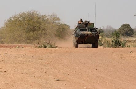 Mali Fighting
