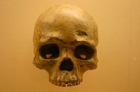 4698386420_45aac19820