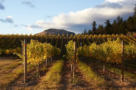Okanagan wine country