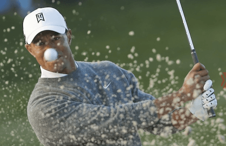 TIGER WOODS FEATURE