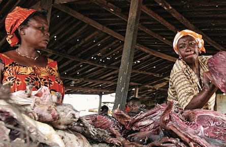 bushmeat-featured