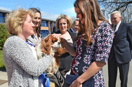 Britain's Catherine, Duchess of Cambridge meets the school dog Henry as she arrives to visit The Willows Primary School in the Wythenshawe district near Manchester