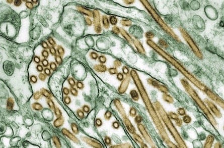 HEALTH Flu 20140108