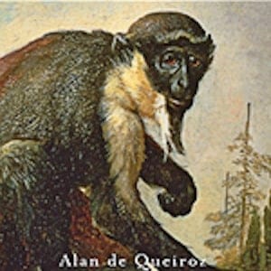 monkey300x300