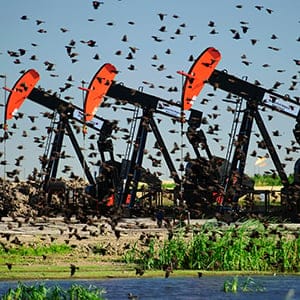 Manitoba Oil 20110904