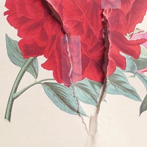 MAC15_BOOK_COVERS_FEATURE03