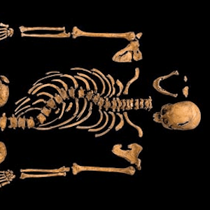 BONES