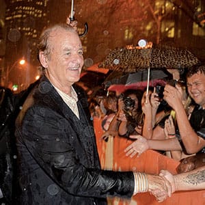 "St. Vincent" Premiere - Red Carpet - 2014 Toronto International Film Festival