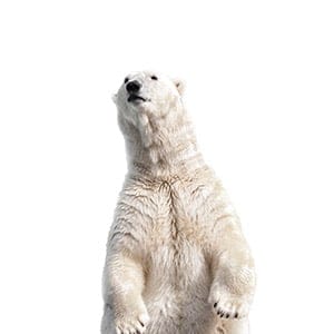 MAC38_WEW_CANADIAN_JOBS_POLAR_FEATURE