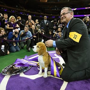 US-WESTMINSTER DOG SHOW