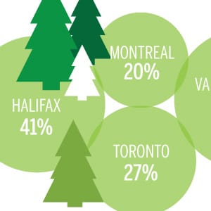 macBlog_trees_small