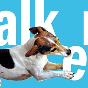 Cover of The Dog Walker for book review MAC39. No credit.