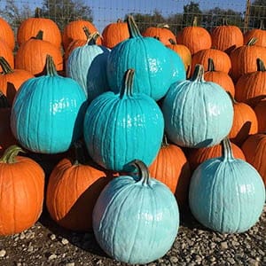 TEALPUMPKIN_FEATURE01