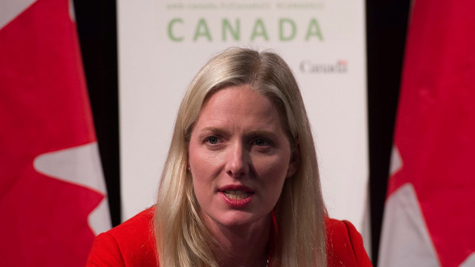 Canadian Minister of Environment and Climate Change Catherine McKenna speaks during a news conference, in Paris, France, on Sunday, Nov. 29, 2015. THE CANADIAN PRESS/Adrian Wyld