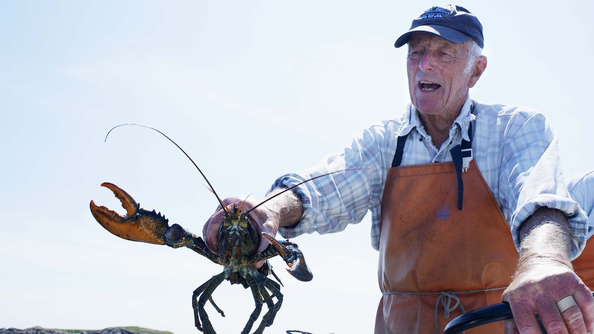 13639244001_4426974052001_148-LOBSTERFISHING.jpg