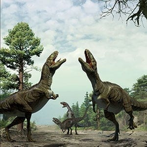 Reconstruction of dinosaurs engaged in sexual display activity. (Lida Xing and Yujiang Han)