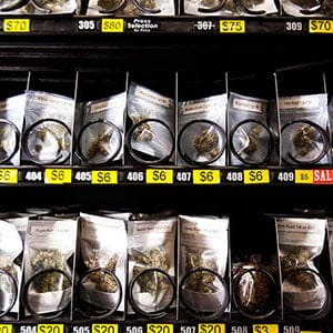 Marijuana is pictured in a vending machine at the BC Pain Society in Vancouver, B.C., on Friday August 29, 2014. The society, which sells marijuana and supplies, is the first of its kind to integrate gift cards to be used at one of their 3 marijuana dispensing vending machines. (Ben Nelms/CP)