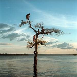 March 29, 2014. A group of boys climb a tree on the Xingu River by the city of Altamira, Brazil. One third of the city has been permanently flooded by the nearby Belo Monte Dam, and the Xingu RIver no longer flows by the city. (Aaron Vincent Elkaim/Boreal Collective)
