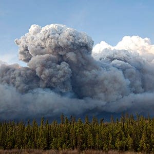 Smoke rises above trees as a wildfire burns in Fort McMurray, Alta., on Wednesday May 4, 2016. The wildfire has already torched 1,600 structures in the evacuated oil hub of Fort McMurray and is poised to renew its attack in another day of scorching heat and strong winds. (Jason Franson/CP)