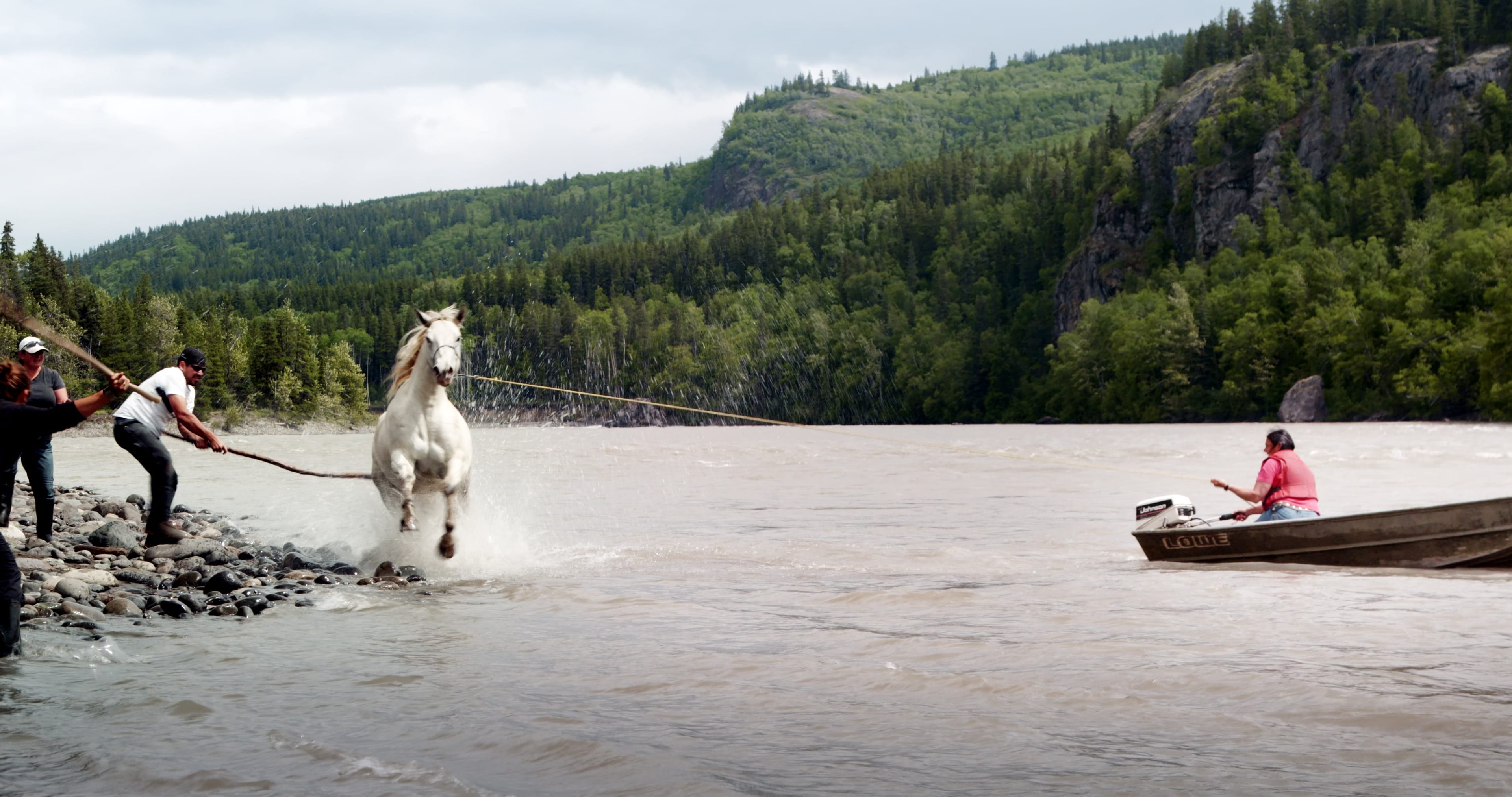 Horses_Swimming_screen_srgb_HiRes