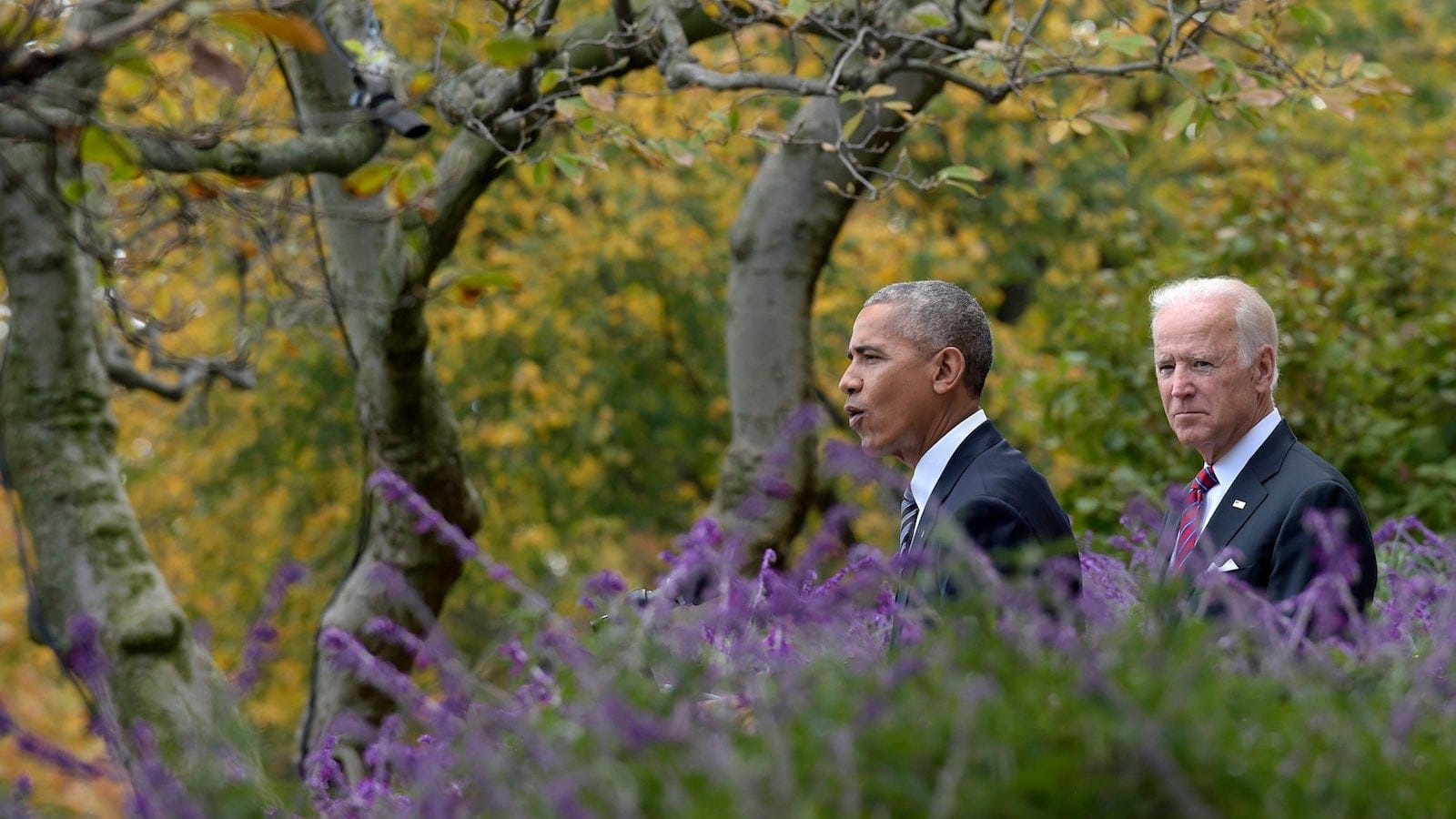 President Barack Obama, accompanied by Vice President Joe Biden, speaks about the election results, Wednesday, Nov. 9, 2016, in the Rose Garden at the White House in Washington. (AP Photo/Susan Walsh)