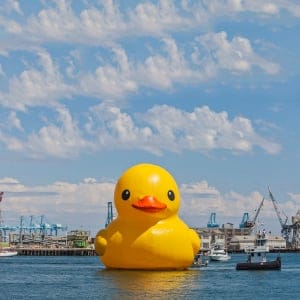 A tall ship parade and the Los Angeles debut of Dutch artist Florentijin Hofman giant yellow ducky. The 6 story tall ducky is said to be the world's largest and has seen many of the world's ports and harbors. (Ted Soqui/Corbis/Getty Images)