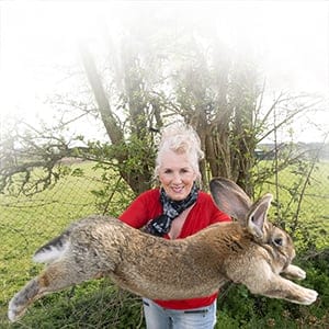 Annette Edwards From Stoulton Worcestershire Who Has A Champion Giant Rabbit Darius And His Son Jeff Who Is Catching Up Fast. 
United Airlines is facing another PR disaster after what could have become the world's largest rabbit died yesterday (25 April) on one of their flights. 10-month-old continental giant rabbit Simon, who measured a whopping three foot, died in the cargo hold of a United Airlines Boeing 767 while travelling from Heathrow Airport to Chicago. Simon was expected to grow to be the world's biggest rabbit after his father Darius grew to 4ft 4in (1.32m). (Mcfadden/ANL/REX/Shutterstock/CP)