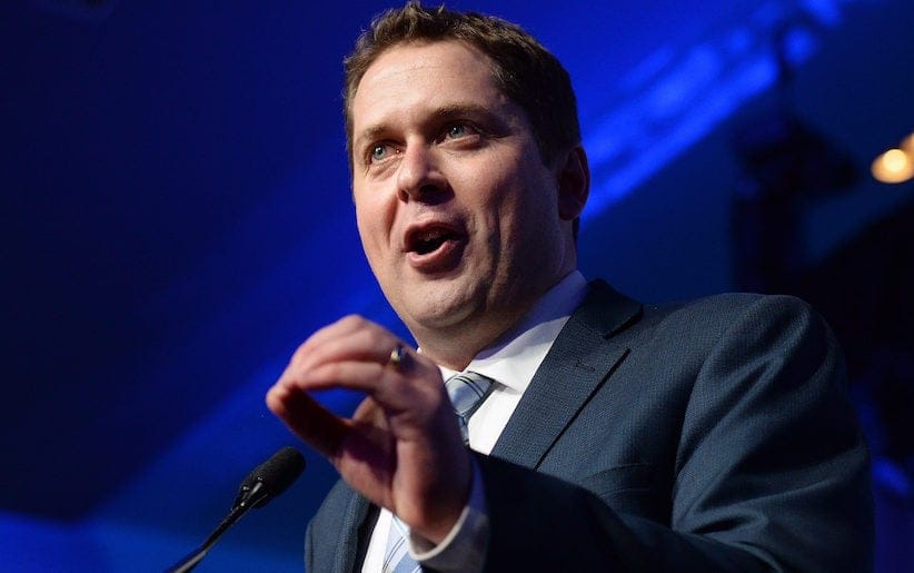 Andrew Scheer speaks after being elected the new leader of the federal Conservative party at the federal Conservative leadership convention in Toronto on Saturday, May 27, 2017. THE CANADIAN PRESS/Frank Gunn
