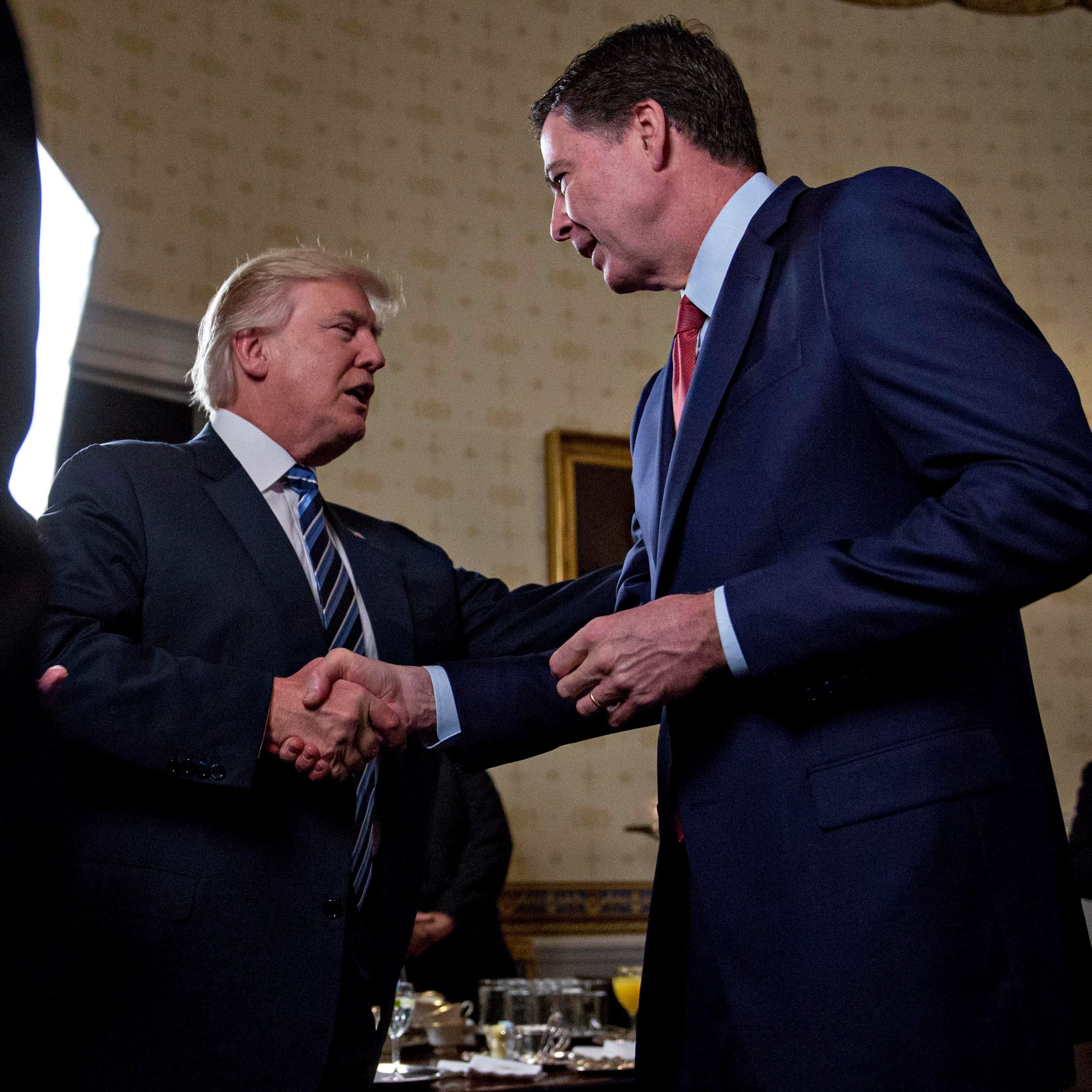WASHINGTON, DC - JANUARY 22: U.S. President Donald Trump (C) shakes hands with James Comey, director of the Federal Bureau of Investigation (FBI), during an Inaugural Law Enforcement Officers and First Responders Reception in the Blue Room of the White House on January 22, 2017 in Washington, DC. Trump today mocked protesters who gathered for large demonstrations across the U.S. and the world on Saturday to signal discontent with his leadership, but later offered a more conciliatory tone, saying he recognized such marches as a "hallmark of our democracy." (Andrew Harrer/Getty Images)