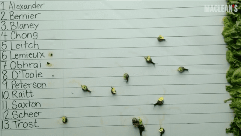 Snail_post